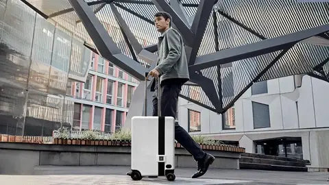 Unlocking-Travel-Security-Why-Biometric-Locks-Are-the-Future-of-Luggage Arista Vault