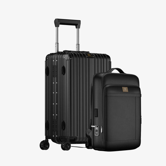 Smart Aviator Luggage + Fingerlock Leather Backpack - Arista Vault