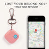 Smart Keychain (Pink) Arista Vault