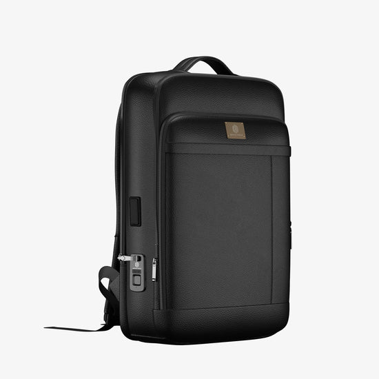 Smart Aviator Luggage + Fingerlock Leather Backpack - Arista Vault