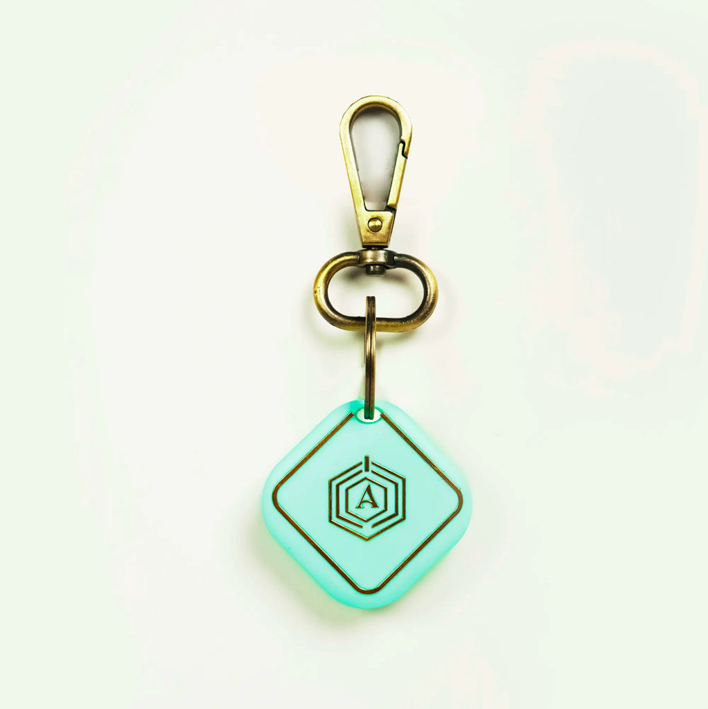 Smart Keychain (Mint) Arista Vault