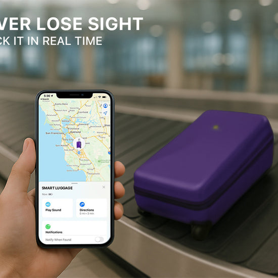 Arista Spot - Smart Luggage Purple Arista Vault