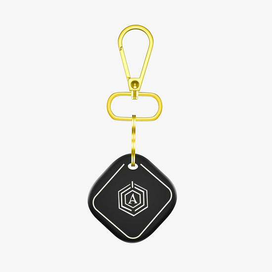 Smart Keychain Arista Vault