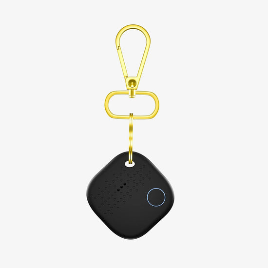 Smart Keychain Arista Vault