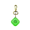 Smart Keychain (Green) Arista Vault