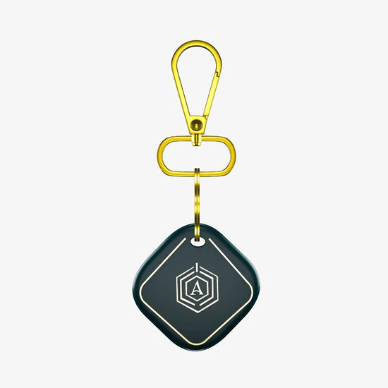 Smart Keychain Arista Vault