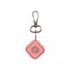 Smart Keychain (Pink) Arista Vault