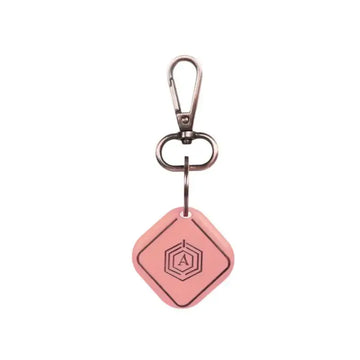 Smart Keychain (Pink) Arista Vault