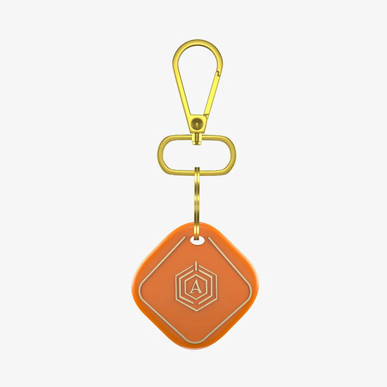 Smart Keychain Arista Vault