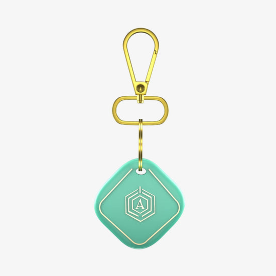 Smart Keychain - Arista Vault