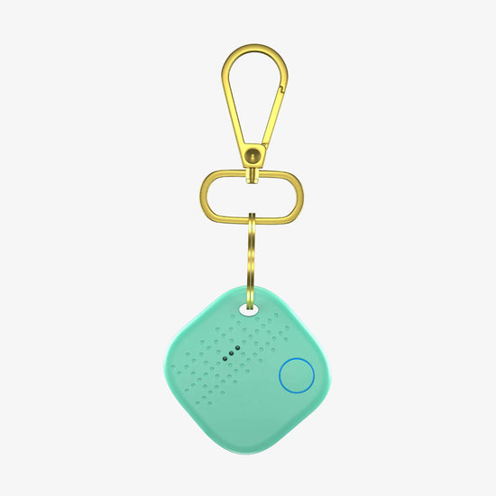 Smart Keychain - Arista Vault