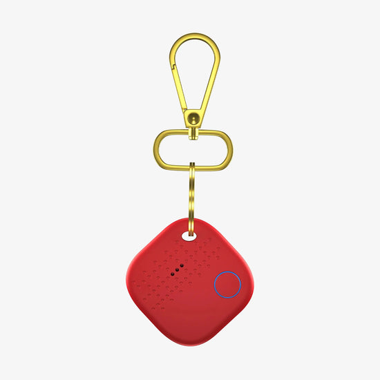 Smart Keychain Arista Vault