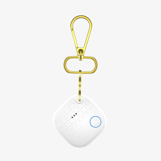 Smart Keychain White Arista Vault