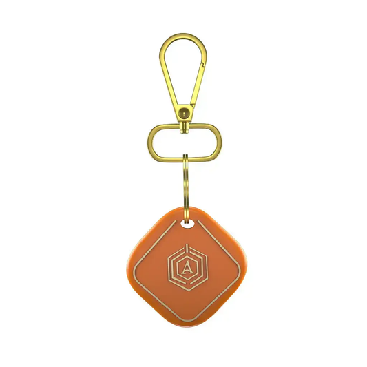 Smart Keychain Arista Vault