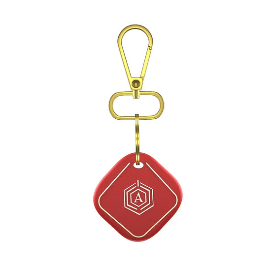 Smart Keychain Arista Vault