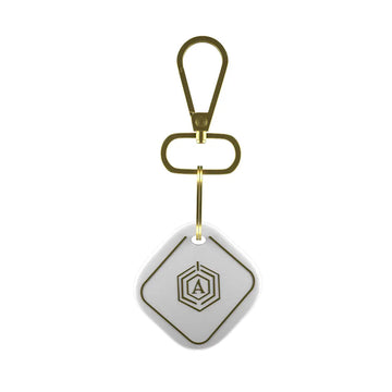 Smart Keychain Arista Vault