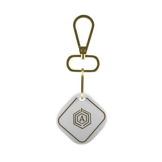 Smart Keychain Arista Vault