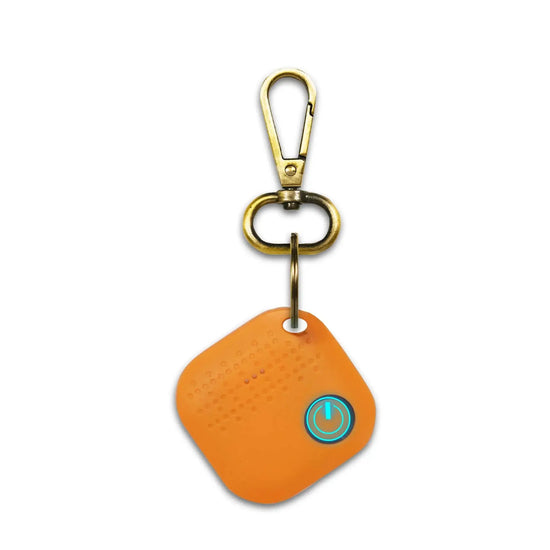 Smart Keychain (Orange) Arista Vault