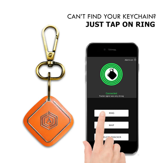 Smart Keychain (Orange) Arista Vault